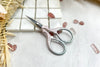 Ombré Art Scissors