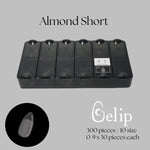 KOKOIST - Gelip : Almond Short