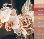 [PRE-ORDER] LEAV Classic Full Collection